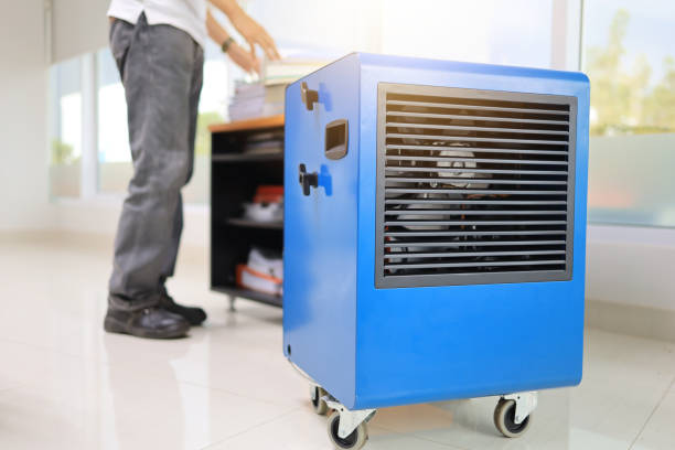 Best Mold Removal for HVAC Installations  in Telford, TN